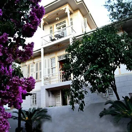 Detached House In