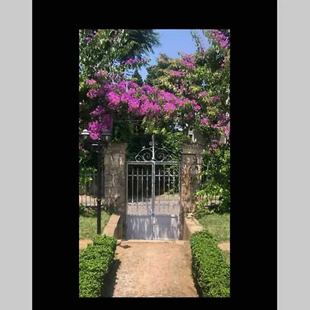 Detached House In